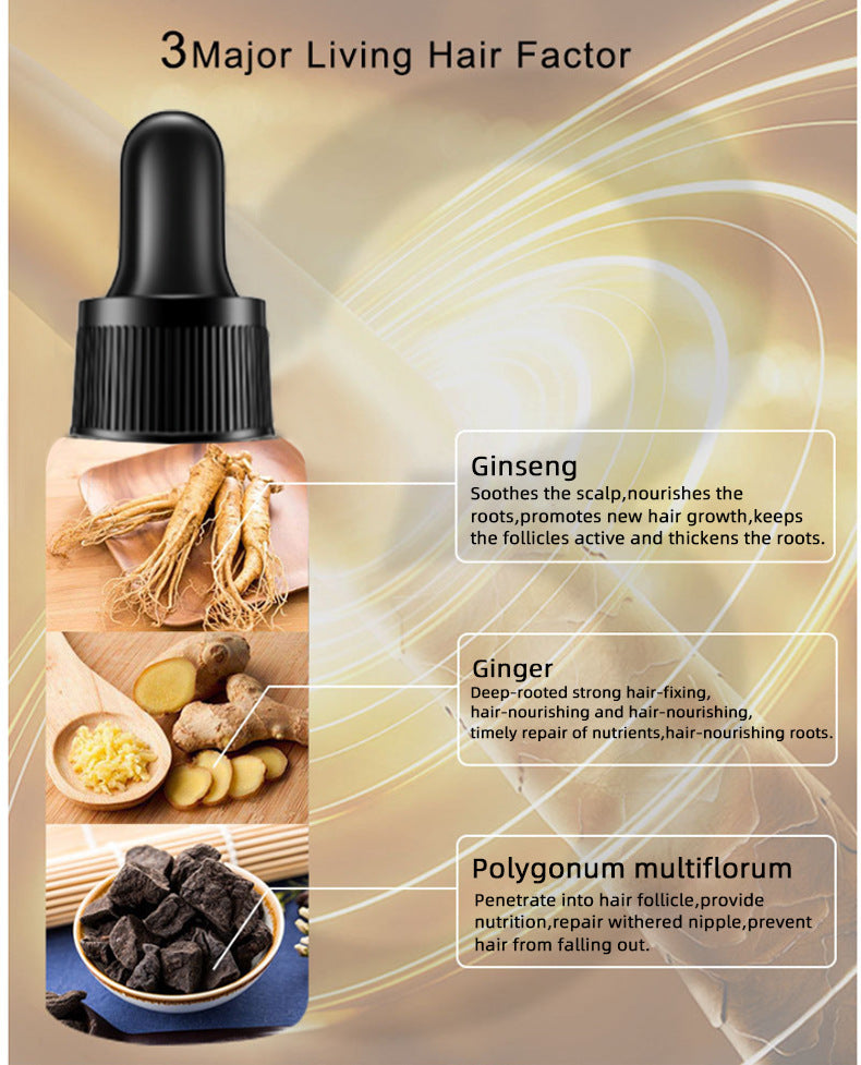 Hair Growth Oil – Natural Scalp Treatment for Thicker, Healthier Hair